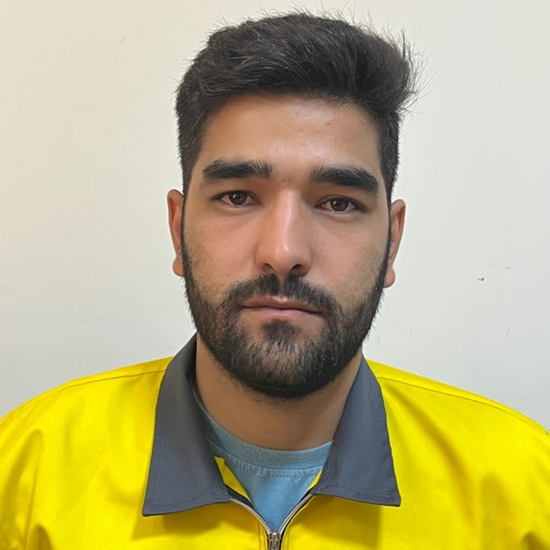 علی میرزاوند