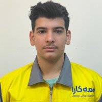 سیدسیاوش حسینی